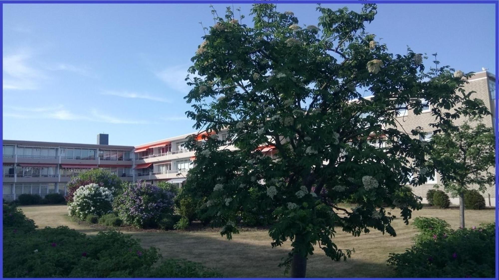 Bonna&#039S Ostsee Oase - Haus Baltic - Whg 180 - Inkl Gratis Wlan Und Saisonstrandkorb Grömitz Eksteriør bilde